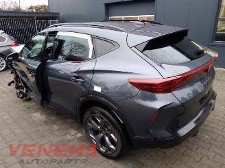 Cupra Formentor Formentor, SUV, 2020 1.5 e-Hybrid VZ 16V picture 8