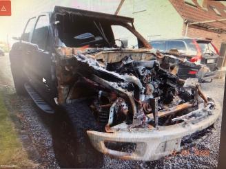 Ford USA F150 RAPTOR - 306KW - 6210CC - EURO5 - BENZINE picture 5