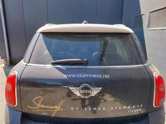 Mini Countryman  picture 13