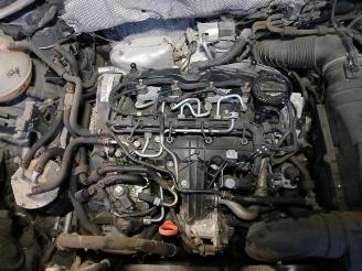 Volkswagen Tiguan Tiguan (5N1/2), SUV, 2007 / 2018 2.0 TDI 16V Blue Motion picture 7