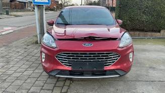 Ford Kuga Kuga III (DFK), SUV, 2019 1.5 EcoBlue picture 2