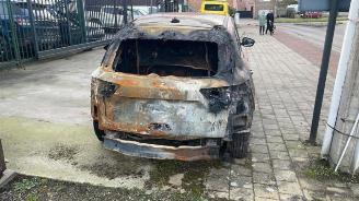 Ford Kuga Kuga III (DFK), SUV, 2019 1.5 EcoBlue picture 7