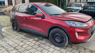 Ford Kuga Kuga III (DFK), SUV, 2019 1.5 EcoBlue picture 5