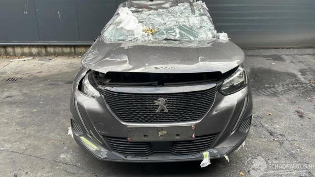 Peugeot 2008 2008 (UD/UK/UR/US/UX), MPV, 2019 1.5 BlueHDi 110