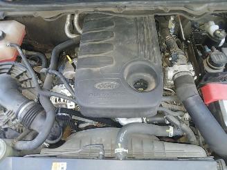 Ford Ranger Ranger Wildtrak picture 21