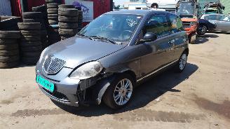 Vrakbiler auto Lancia Ypsilon 2011 1.2i 169A4 Grijs 600 onderdelen 2011/11