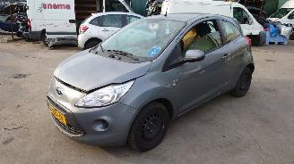 Sloopauto Ford Ka 2 2009 1.2i 169A4 Grijs Strobe onderdelen 2009/6