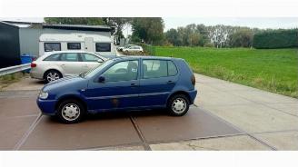 Volkswagen Polo Polo III (6N1), Hatchback, 1994 / 1999 1.6i 75 picture 2