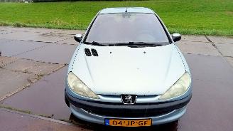  Peugeot 206  2002/6