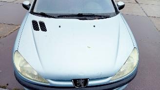Peugeot 206  picture 8