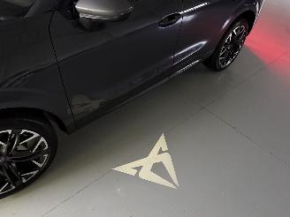 Cupra Terramar NEW! 2.0 TSI 4Drive 265PK DSG Performance picture 38