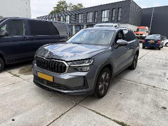 Schadeauto Skoda Kodiaq 1.5 TSI MHEV Business Edition KEYLESS-NANI-CAMERA-PDC 2024/6