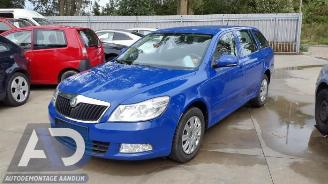 Sloopauto Skoda Octavia Octavia Combi (1Z5), Combi 5-drs, 2004 / 2013 1.9 TDI 2009