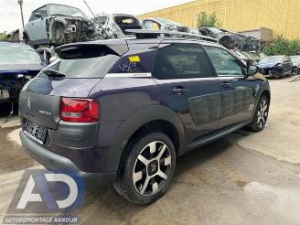 Citroën C4 cactus C4 Cactus (0B/0P), Hatchback 5-drs, 2014 1.2 PureTech 82 12V picture 5