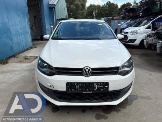 Volkswagen Polo Polo V (6R), Hatchback, 2009 / 2017 1.2 12V BlueMotion Technology picture 2