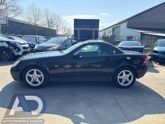 Mercedes SLK SLK (R170), Cabrio, 1996 / 2004 2.0 200 16V picture 10