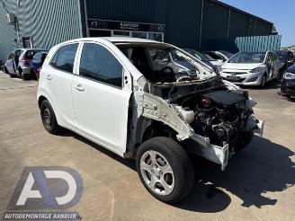 Kia Picanto Picanto (JA), Hatchback, 2017 1.0 12V picture 7