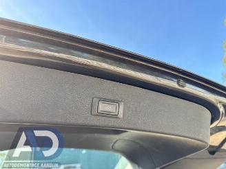 Audi Q5 Q5 (8RB), SUV, 2008 / 2017 2.0 TDI 16V Quattro picture 19