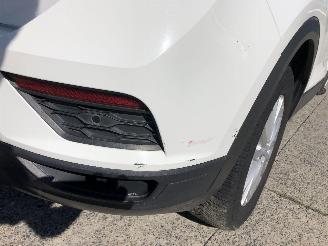 Volkswagen T-Roc 1.6 TDI picture 19