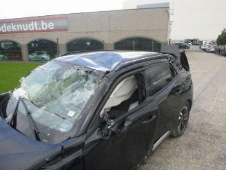 Peugeot 2008 1.2 picture 16