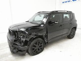 Jeep Renegade LONGITUDE picture 3