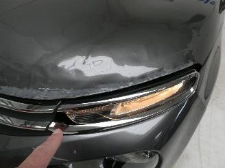 Citroën C3 III LIVE picture 4