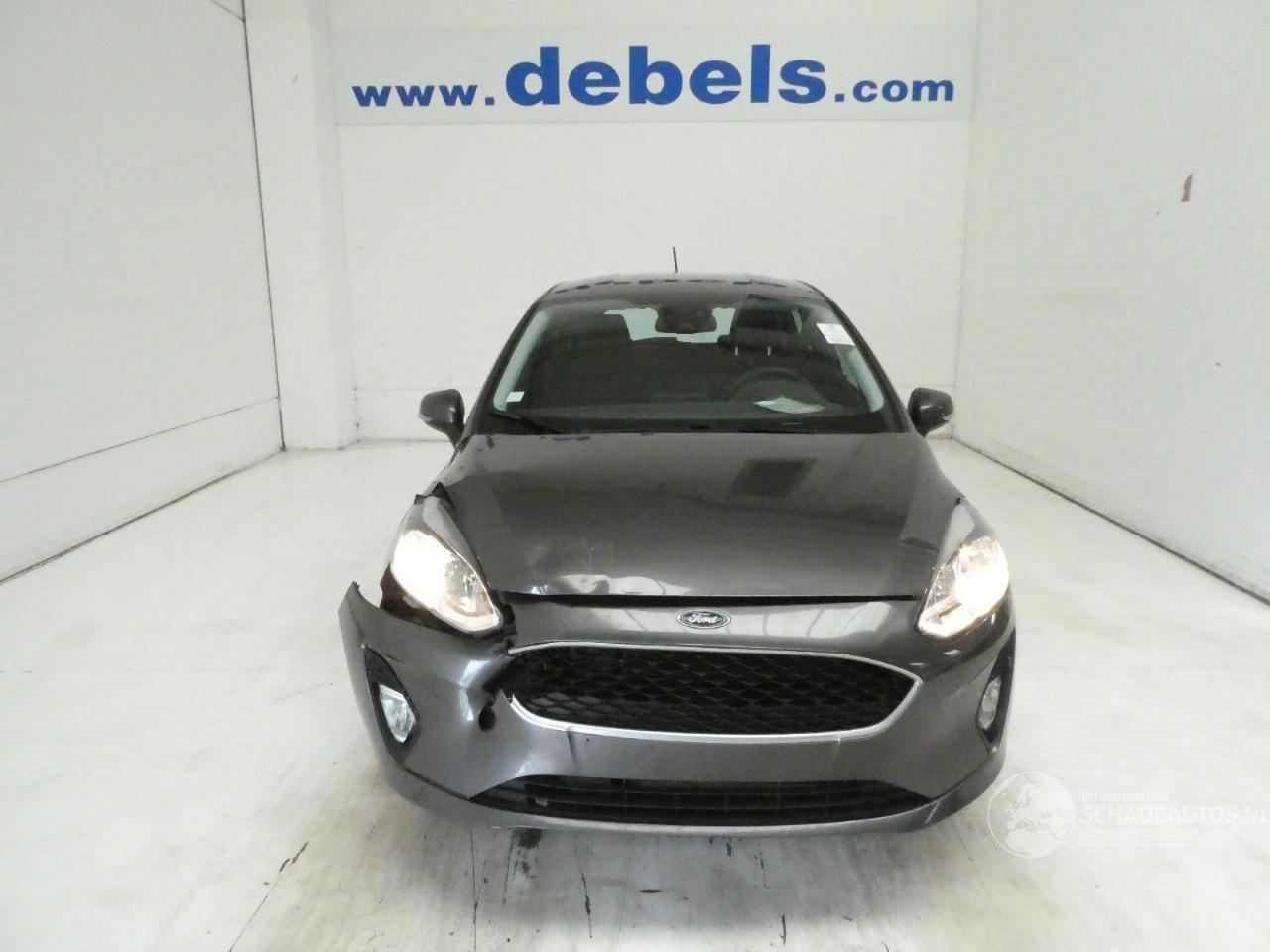 Ford Fiesta BUSINESS