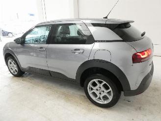 Citroën C4 cactus CACTUS picture 6