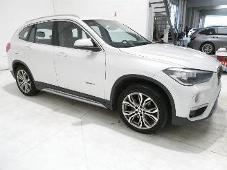 BMW X1 SDRIVE18I picture 12