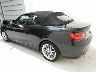 BMW 2-serie 2.0 D picture 5