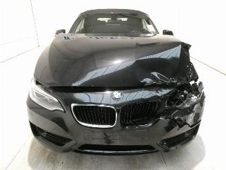 BMW 2-serie 2.0 D picture 2