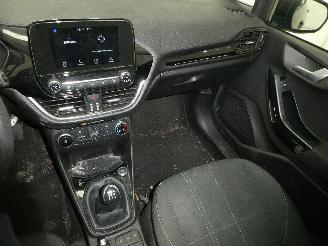 Ford Fiesta BUSINESS picture 10