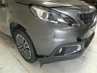 Peugeot 2008 ACTIVE picture 10