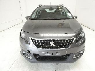 Peugeot 2008 ACTIVE picture 2