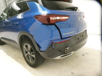 Opel Grandland Z picture 6