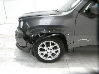 Jeep Renegade LIMITED picture 6