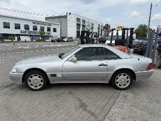 Mercedes SL V8 picture 8