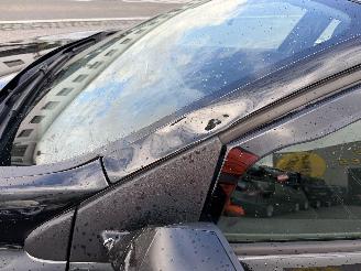 Renault Mégane 1.2 TCE picture 10