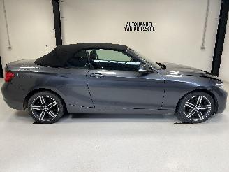 BMW 2-serie SPORTLINE AUTOMAAT picture 16