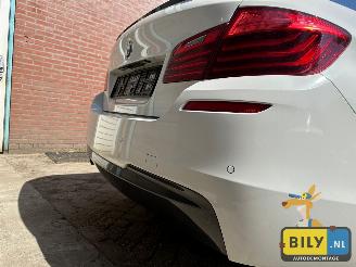 BMW  F10 518D Alpinewiess 3 picture 9