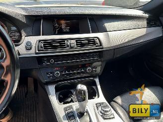 BMW  F10 518D Alpinewiess 3 picture 15