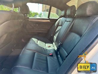 BMW  F10 518D Alpinewiess 3 picture 18