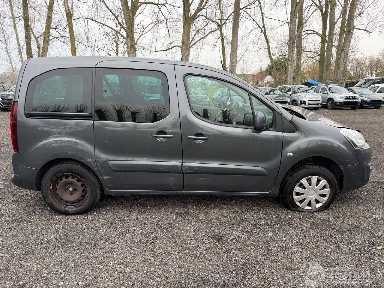 Citroën Berlingo MULTISPACE