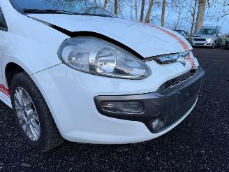 Fiat Punto Evo  picture 3