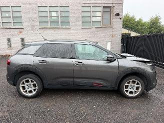  Citroën C4 cactus CACTUS FLAIR 2019/5