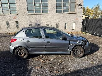 skadebil auto Peugeot 206 1.2I 2010/1