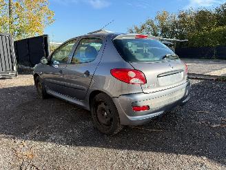 Peugeot 206 1.2I picture 15