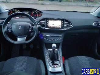 Peugeot 308  picture 14