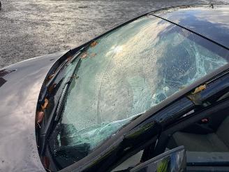 Seat Ibiza IBIZA picture 12