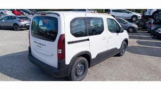 Peugeot Rifter Rifter (ER/EC/EZ), MPV, 2018 e-Rifter picture 3